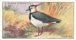 1927 Player's Game Birds and Wild Fowl (Small) #23 Lapwing Front