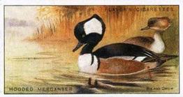 1927 Player's Game Birds and Wild Fowl (Small) #24 Hooded Merganser Front