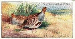 1927 Player's Game Birds and Wild Fowl (Small) #26 Common Partridge Front