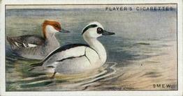 1927 Player's Game Birds and Wild Fowl (Small) #42 Smew Front