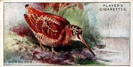 1927 Player's Game Birds and Wild Fowl (Small) #50 Woodcock Front