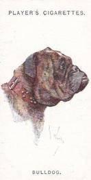 1931 Player's Dogs' Head (A. Wardle Paintings) #6 Bulldog Front