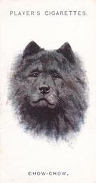 1931 Player's Dogs' Head (A. Wardle Paintings) #7 Chow-Chow Front
