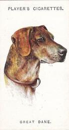 1931 Player's Dogs' Head (A. Wardle Paintings) #15 Great Dane Front