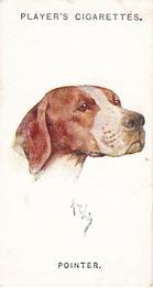 1931 Player's Dogs' Head (A. Wardle Paintings) #21 Pointer Front