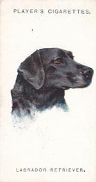 1931 Player's Dogs' Head (A. Wardle Paintings) #25 Labrador Retriever Front