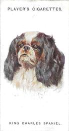 1931 Player's Dogs' Head (A. Wardle Paintings) #36 King Charles Spaniel Front