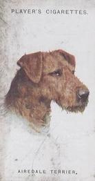 1931 Player's Dogs' Head (A. Wardle Paintings) #37 Airedale Terrier Front