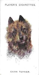 1931 Player's Dogs' Head (A. Wardle Paintings) #39 Cairn Terrier Front