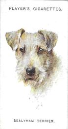 1931 Player's Dogs' Head (A. Wardle Paintings) #45 Sealyham Terrier Front