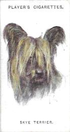 1931 Player's Dogs' Head (A. Wardle Paintings) #47 Skye Terrier Front