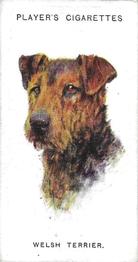 1931 Player's Dogs' Head (A. Wardle Paintings) #48 Welsh Terrier Front