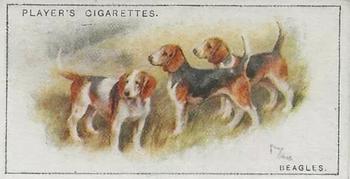 1925 Player's Dogs (Small) #1 Beagles Front