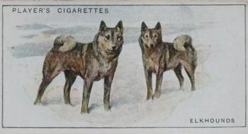 1925 Player's Dogs (Small) #13 Elkhounds Front