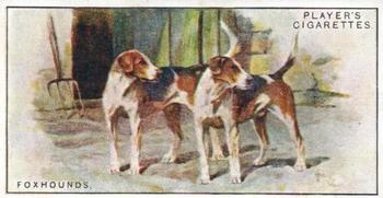 1925 Player's Dogs (Small) #15 Foxhounds Front