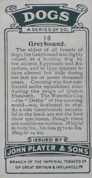 1925 Player's Dogs (Small) #16 Greyhound Back
