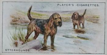 1925 Player's Dogs (Small) #20 Otterhounds Front