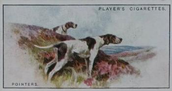 1925 Player's Dogs (Small) #21 Pointers Front