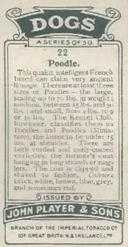 1925 Player's Dogs (Small) #22 Poodle Back