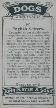 1925 Player's Dogs (Small) #29 English Setter Back