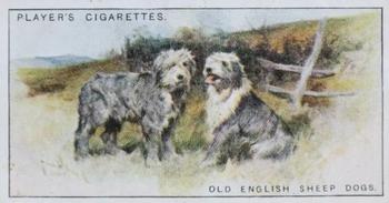 1925 Player's Dogs (Small) #33 Old English Sheepdogs Front