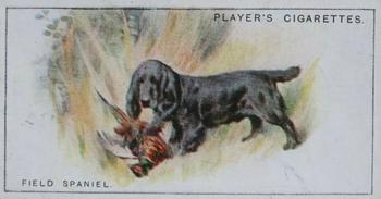 1925 Player's Dogs (Small) #36 Field Spaniel Front