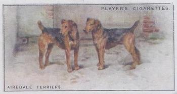 1925 Player's Dogs (Small) #39 Airedale Terriers Front