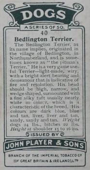1925 Player's Dogs (Small) #40 Bedlington Terrier Back