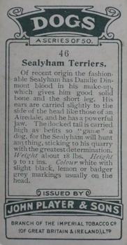 1925 Player's Dogs (Small) #46 Sealyham Terriers Back