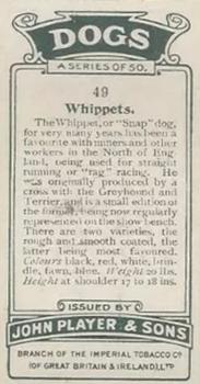 1925 Player's Dogs (Small) #49 Whippets Back
