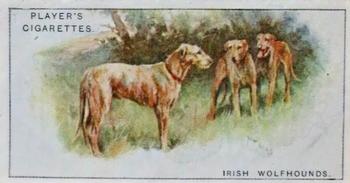 1925 Player's Dogs (Small) #50 Irish Wolfhounds Front