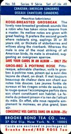 1966 Brooke Bond (Red Rose Tea) Canadian / American Songbirds (USA Blue Backs) #38 Rose-breasted Grosbeak Back