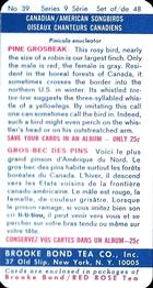 1966 Brooke Bond (Red Rose Tea) Canadian / American Songbirds (USA Blue Backs) #39 Pine Grosbeak Back