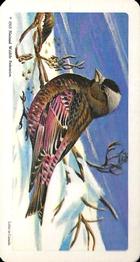 1966 Brooke Bond (Red Rose Tea) Canadian / American Songbirds (USA Blue Backs) #40 Gray-crowned Rosy Finch Front