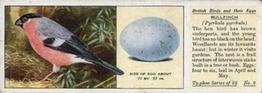 1936 Ty-phoo Tea British Birds and Their Eggs #2 Bullfinch Front