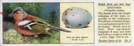 1936 Ty-phoo Tea British Birds and Their Eggs #3 Chaffinch Front