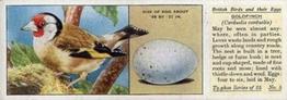 1936 Ty-phoo Tea British Birds and Their Eggs #5 European Goldfinch Front