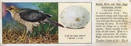 1936 Ty-phoo Tea British Birds and Their Eggs #8 Sparrow Hawk Front