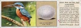 1936 Ty-phoo Tea British Birds and Their Eggs #10 Kingfisher Front
