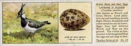 1936 Ty-phoo Tea British Birds and Their Eggs #11 Lapwing or Plover Front