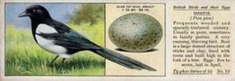 1936 Ty-phoo Tea British Birds and Their Eggs #12 Magpie Front