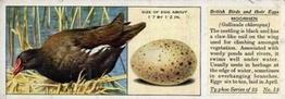 1936 Ty-phoo Tea British Birds and Their Eggs #13 Moorhen Front