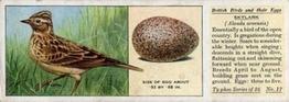 1936 Ty-phoo Tea British Birds and Their Eggs #17 Skylark Front