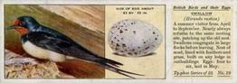 1936 Ty-phoo Tea British Birds and Their Eggs #19 Swallow Front