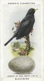 1939 Ogden's British Birds and Their Eggs #1 Blackbird Front