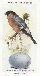 1939 Ogden's British Birds and Their Eggs #2 Bullfinch Front