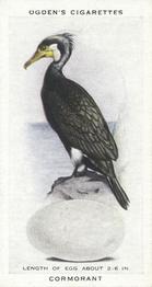 1939 Ogden's British Birds and Their Eggs #4 Cormorant Front