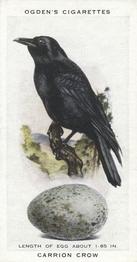 1939 Ogden's British Birds and Their Eggs #5 Carrion Crow Front