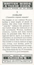 1939 Ogden's British Birds and Their Eggs #7 Curlew Back