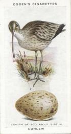 1939 Ogden's British Birds and Their Eggs #7 Curlew Front